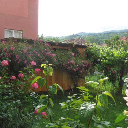 Casa Fabrizio Ξενοδοχείο Călimăneşti Εξωτερικό φωτογραφία