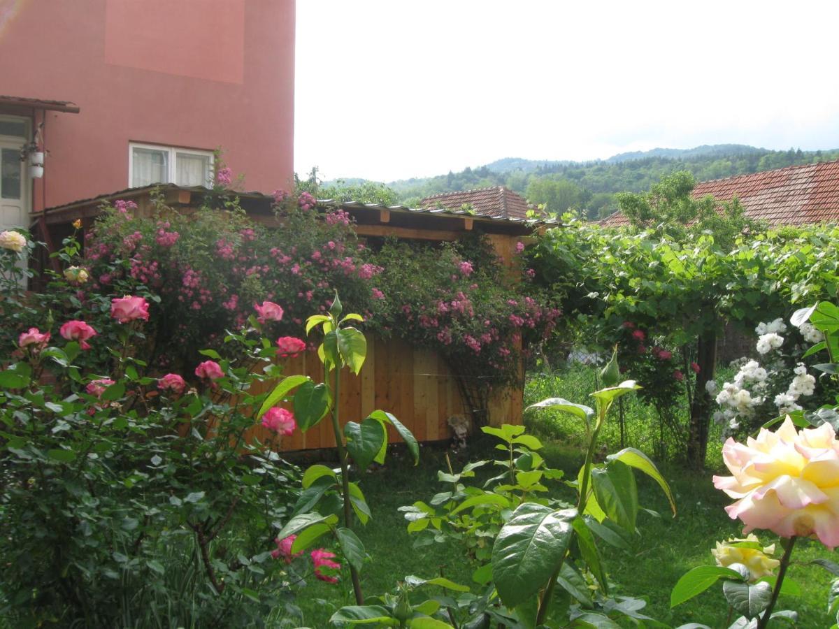 Casa Fabrizio Ξενοδοχείο Călimăneşti Εξωτερικό φωτογραφία