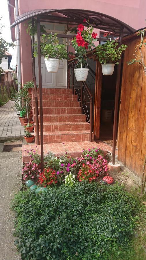 Casa Fabrizio Ξενοδοχείο Călimăneşti Εξωτερικό φωτογραφία