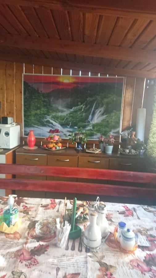 Casa Fabrizio Ξενοδοχείο Călimăneşti Εξωτερικό φωτογραφία