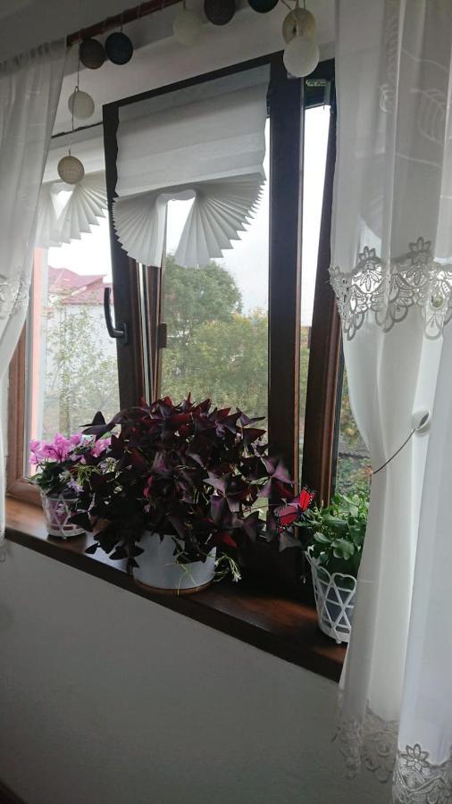 Casa Fabrizio Ξενοδοχείο Călimăneşti Εξωτερικό φωτογραφία