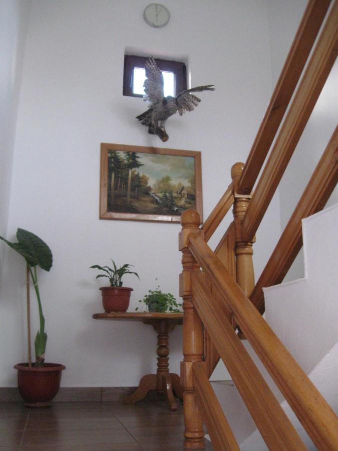 Casa Fabrizio Ξενοδοχείο Călimăneşti Εξωτερικό φωτογραφία