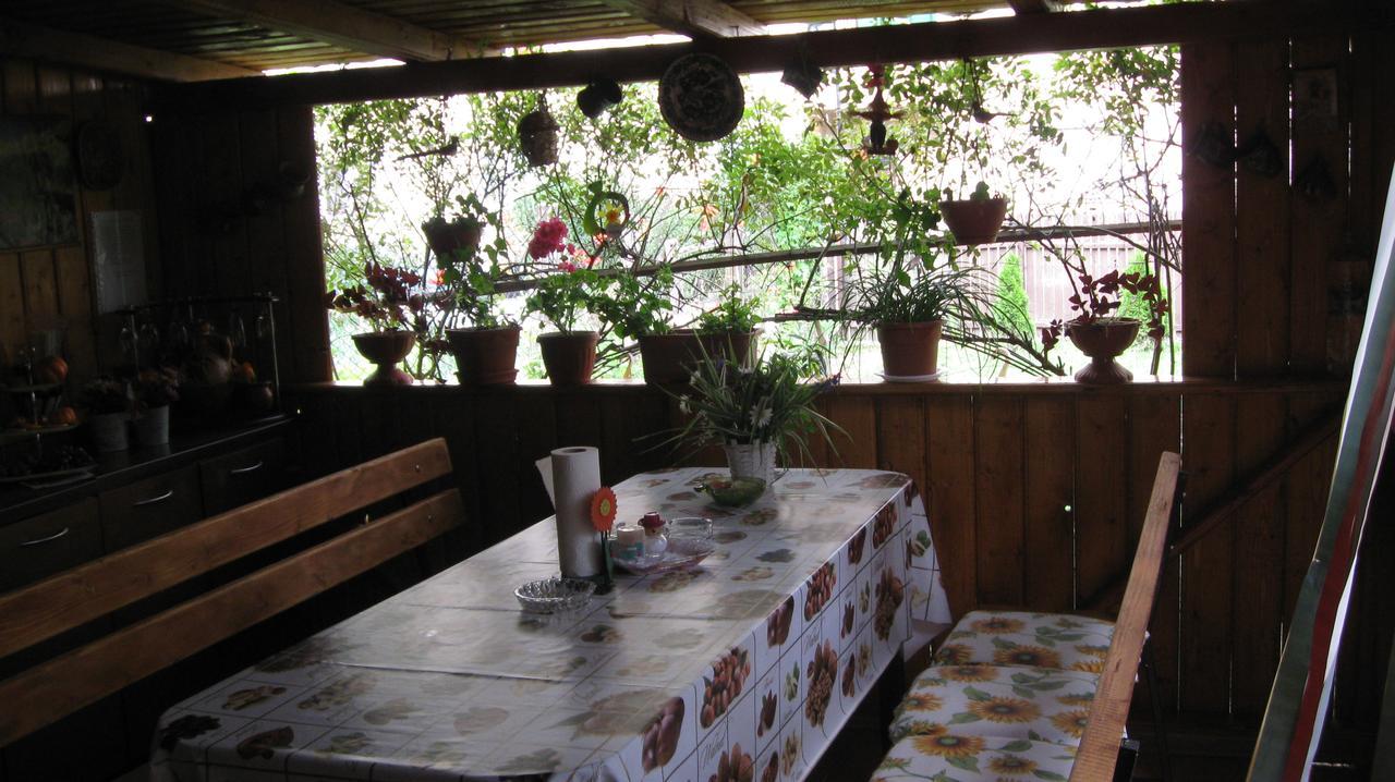 Casa Fabrizio Ξενοδοχείο Călimăneşti Εξωτερικό φωτογραφία